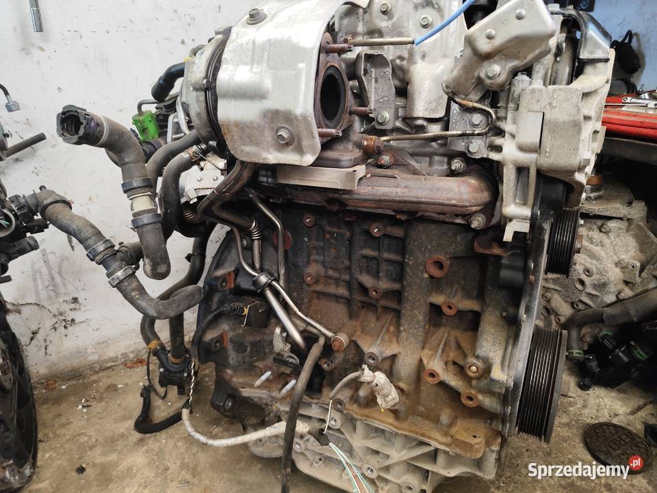 Silnik 20 dCi M9R Renault Opel Nissan Sędziszów