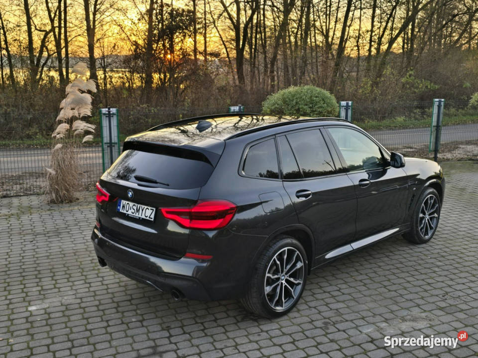 BMW X3 xDrive25d M Sport Salon Iwłaściciel ESP X3 kujawsko-pomorskie Skępe