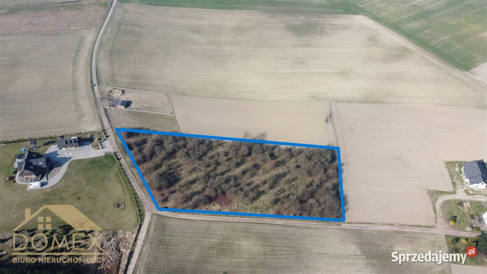sprzedaży działki Czernica 7500m2 7500m2