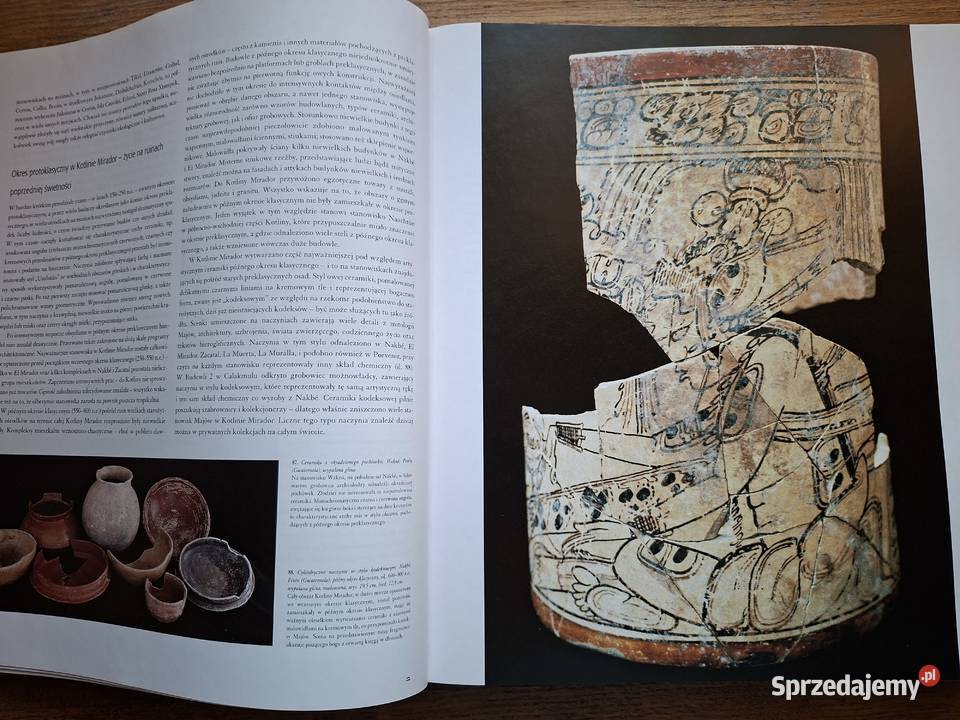 Niezwykła cywilizacja Majowie Buchmann Książki naukowe i popularnonaukowe