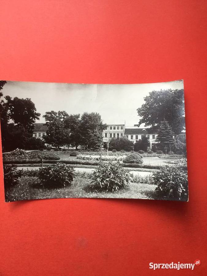 2449 Widokówka Suwałki Antykwariat Antyki, Sztuka, Kolekcje Szczecin