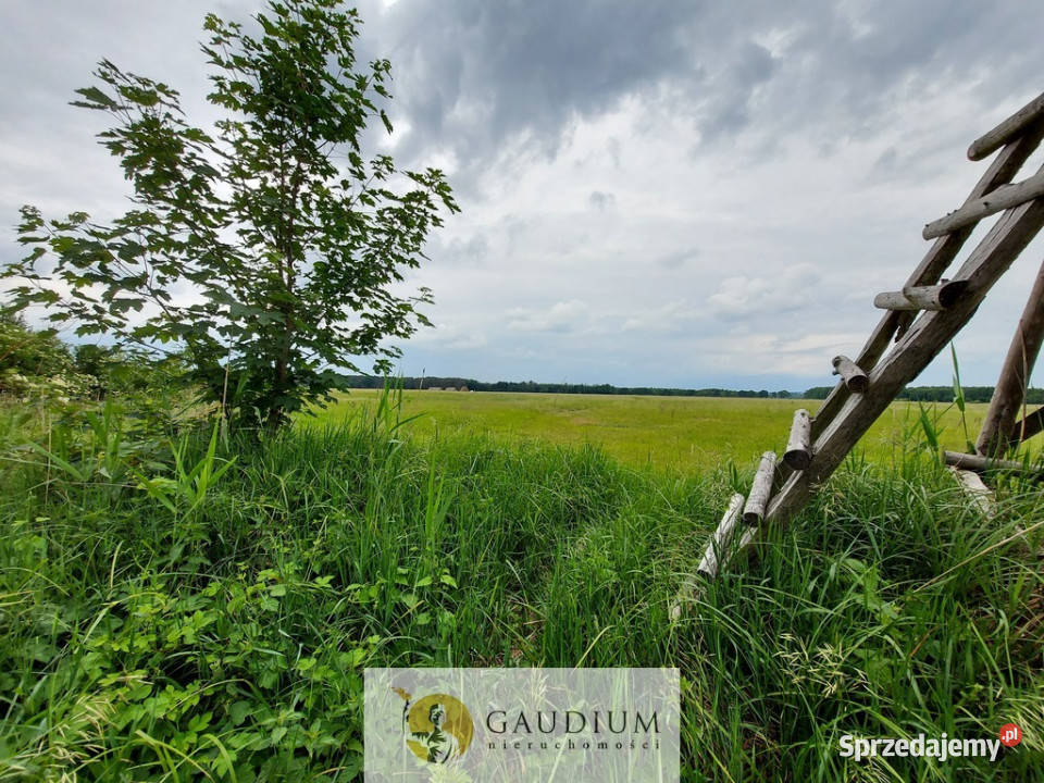 Malownicze działki brzegiem rzekiZielona Góra polna Karszyn sprzedam