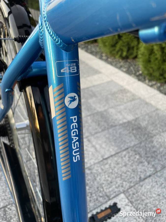 Pegasus Piazza 28 Rower Męski sprzedam