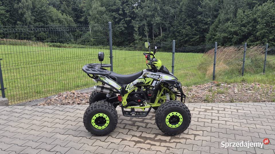 APOLLO AVENGER 125RR bezwypadkowy Pozostałe małopolskie Głogoczów
