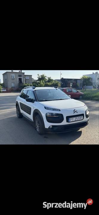 C4 cactus zamiana wielkopolskie