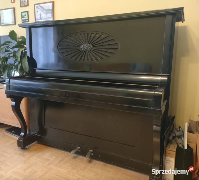 Śmiali się siadałem pianiem ale zacząłem grać Instrumenty klawiszowe i MIDI Katowice