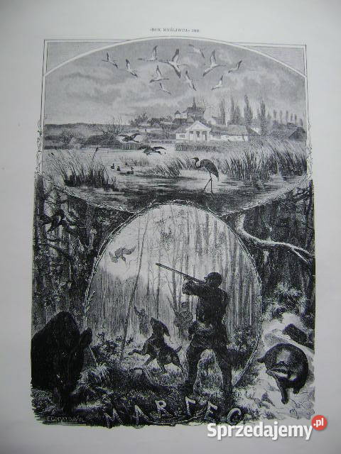 Starocie z PRL Myślistwo Zestaw 6 ilustracji Gdynia sprzedam