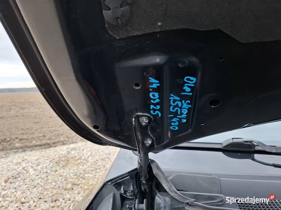 Czarna perełka Pniów sprzedam