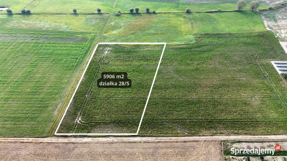 4 lokale PnB Kobylniki k Kiekrza 5906m2 wielkopolskie Rokietnica
