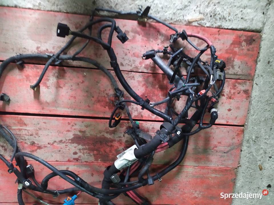 Wiązka elektryczna megane 3 Trzemeszno