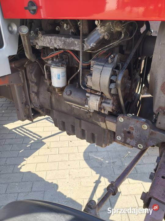 Massey Ferguson 675 Lubień Kujawski