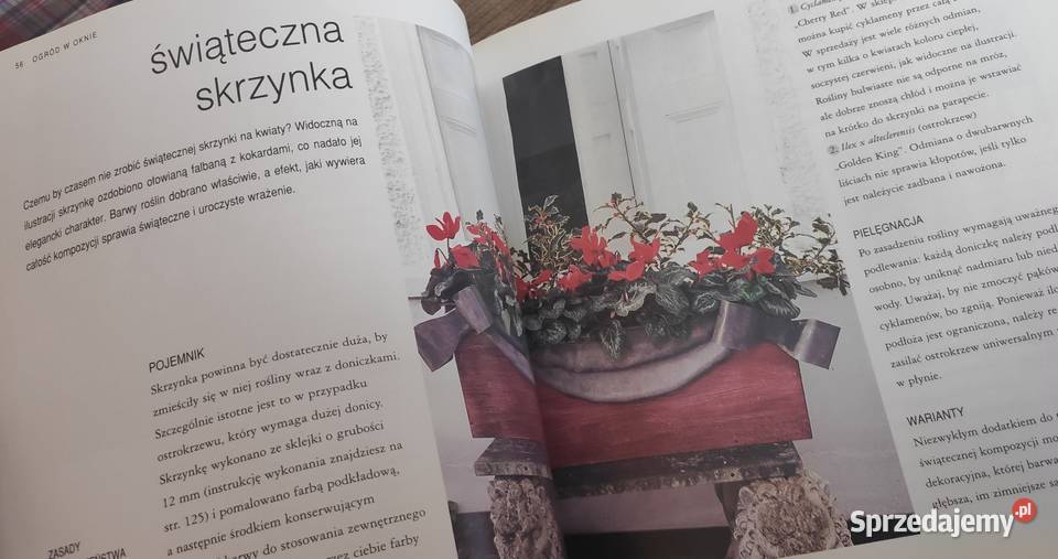Ogród w oknie na wyciągnięcie ręki Rok wydania 2003 Gdańsk sprzedam