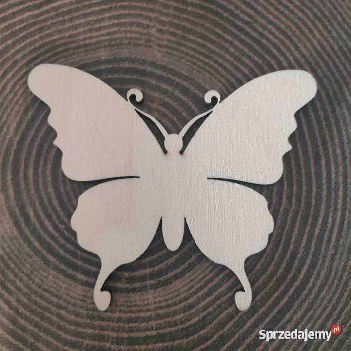 Drewniany Motyl Sklejka Scrapbooking Decoupage Tczew