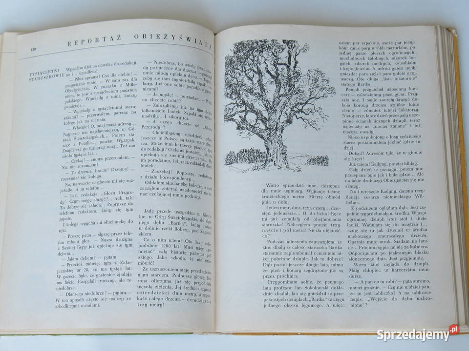 Rośliny lecznicze Aleksander Ożarowski Wacław Kraków