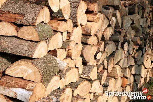Drewno kominkowe Koszalin i zachodniopomorskie
