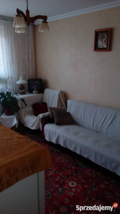 sprzedam mieszkanie Płońsk 455 m2 664374704 wielka płyta Mieszkania mazowieckie