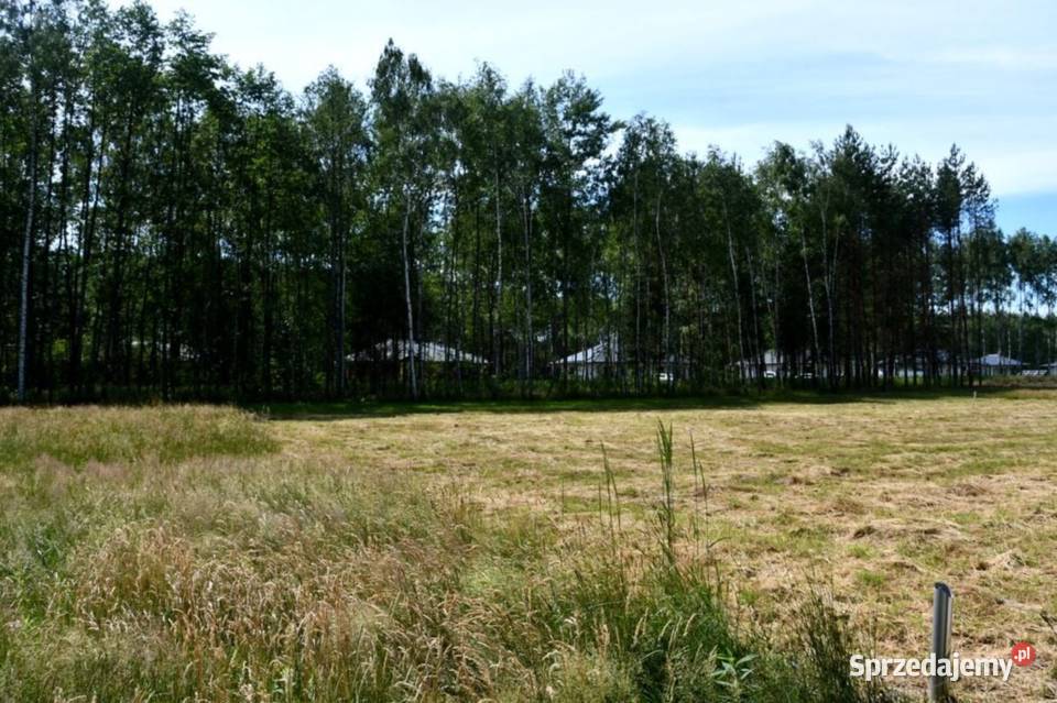 Działki 10a pod lasem Widełka