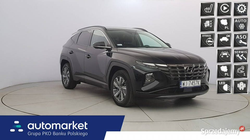 Hyundai Tucson 16 TGDi HEV Executive 4WD Z światła do jazdy dziennej mazowieckie Warszawa