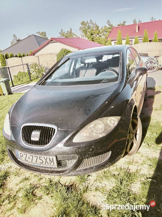 Seat Leon 19 Sękowo