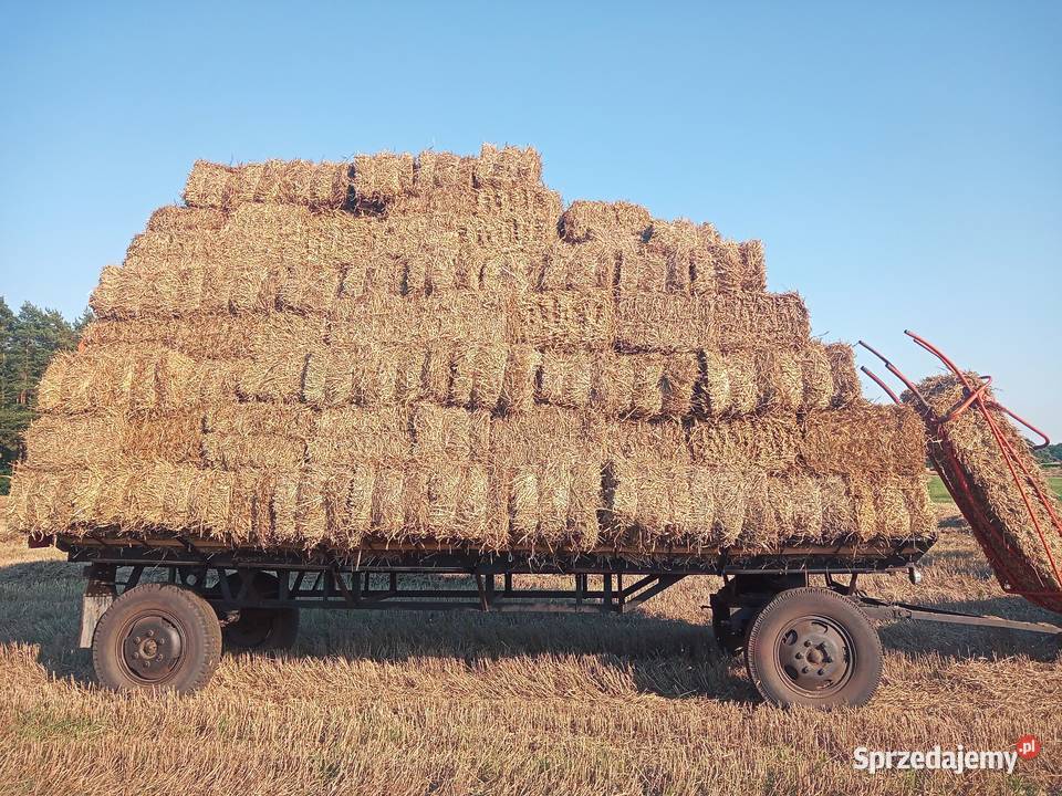 Siano słoma kostka transport Trawy, słoma Ostrzeszów