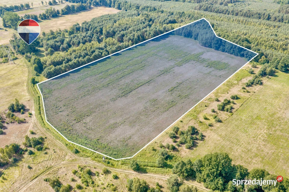 Działka rolna 521 ha w Jarogniewicach