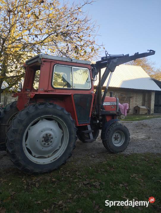 Mf 565