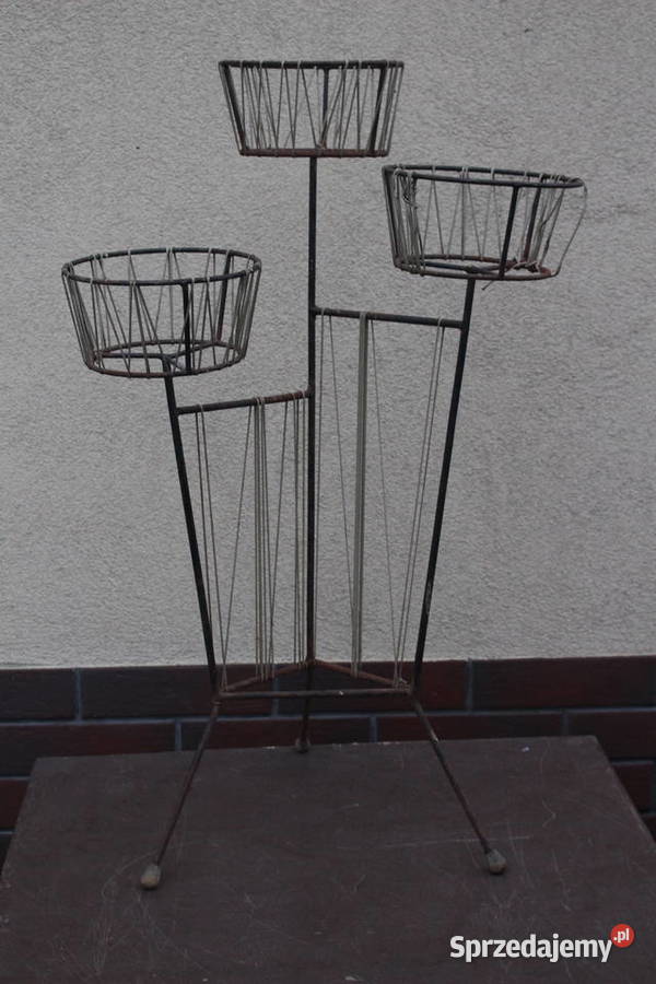 kwietnik żyłkowy prl Kalisz