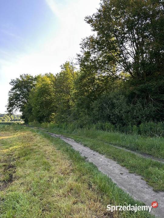 Działka z możliwością zabudowy rolna Rudawica