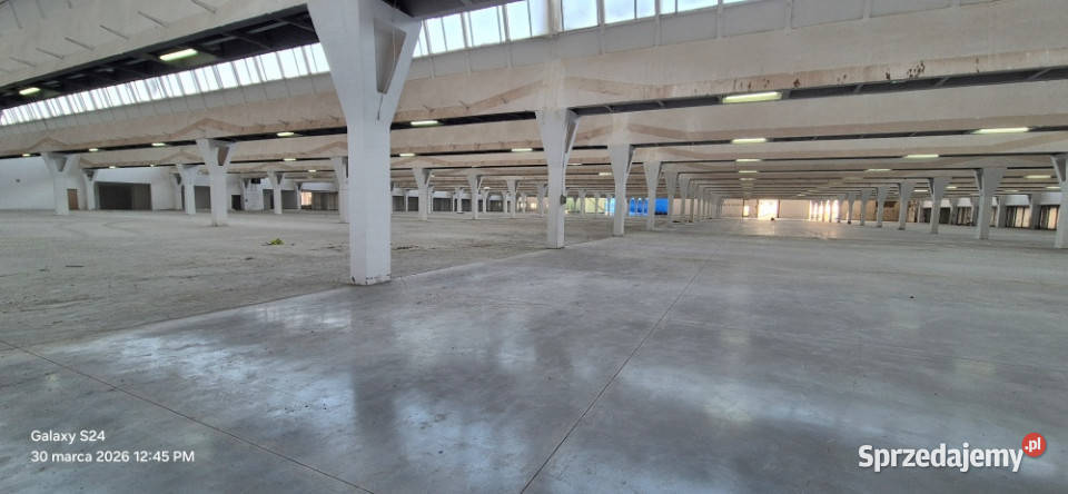 Hala magazynowa 12500m2 12500m2 łódzkie Ozorków