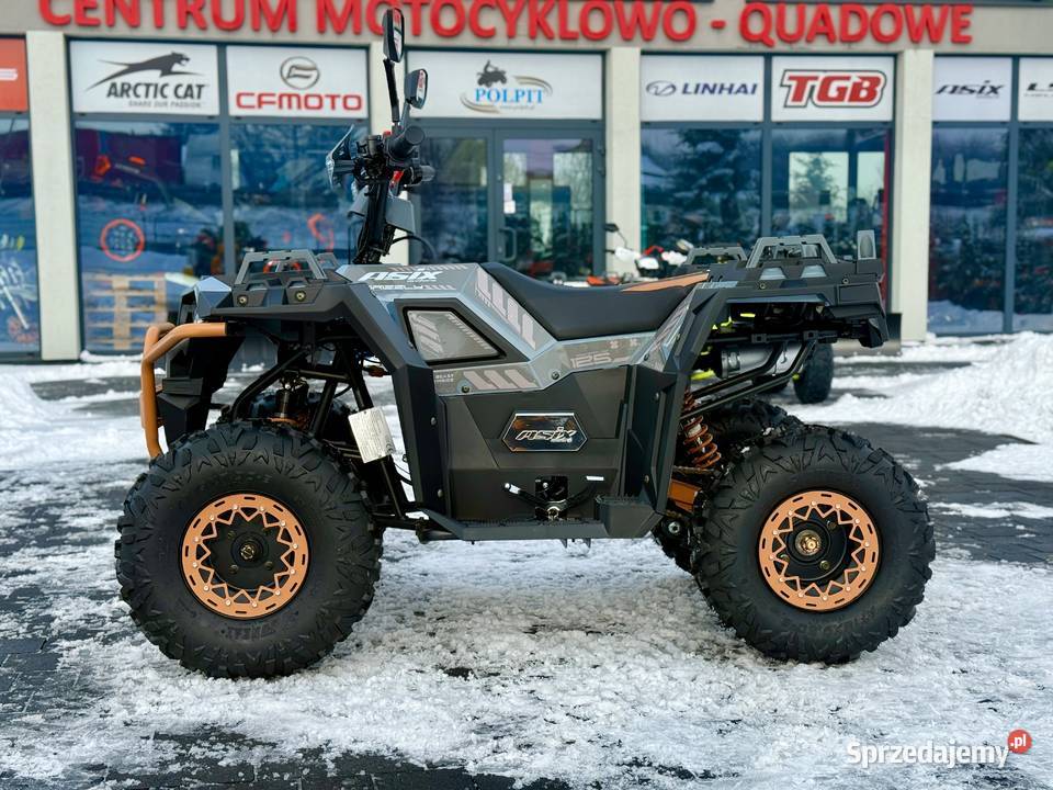 QUAD ASIX GRIZZLY 125CC 8 11 SZARO BRĄZOWY Głogoczów