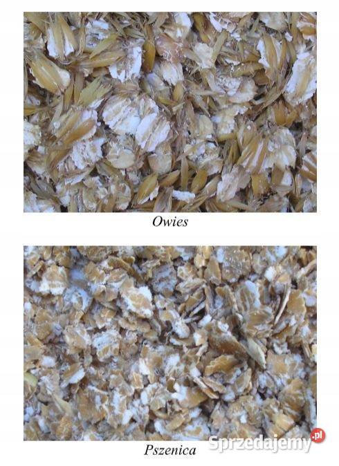 Gniotownik 230V WALCOWY zgniatacz ziarna GZ5 Kamionna