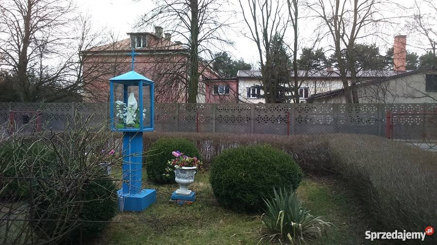 Dom drewniany do remontu Paprotnia