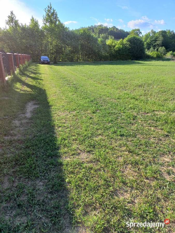 Piękną widokową działka w Gogołowie 80m Sprzedaż Gogołów