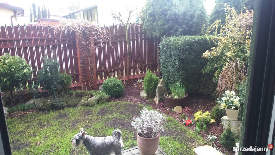 Mieszkanie Łomianki Staszica Osiedle Tęcza 6563zł/m2 mazowieckie Łomianki