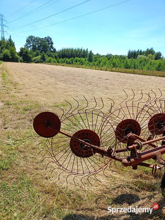 Siano baloty 120 sprzedam