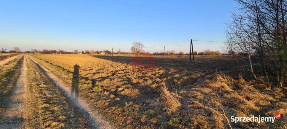 Grunt Dąbrowica 15000m2 małopolskie sprzedam