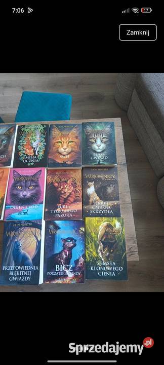 Zestaw książek Wojownicy Erin Hunter Kultura i Rozrywka