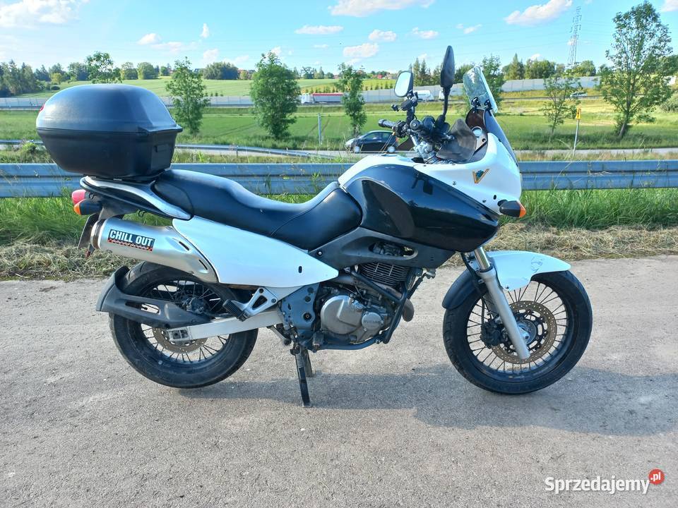 Suzuki XF 650 Freewind motocyklistki Łysokanie