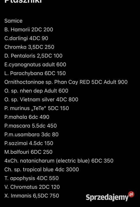 Ptaszniki pająki pająk skakun skorpion Pozostałe Gdańsk