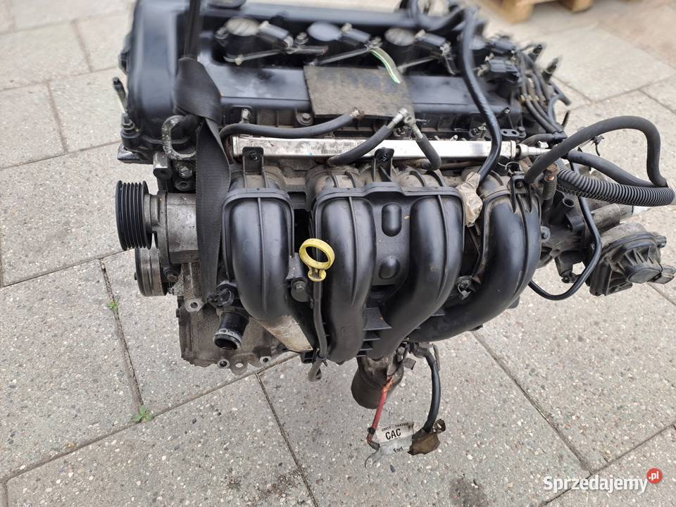 Ford Fokus 18 16V 125 silnik kompletny kod Q7DA śląskie