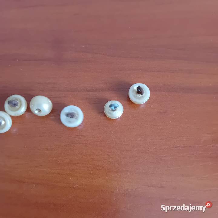 stare guziki powojenne Dębno