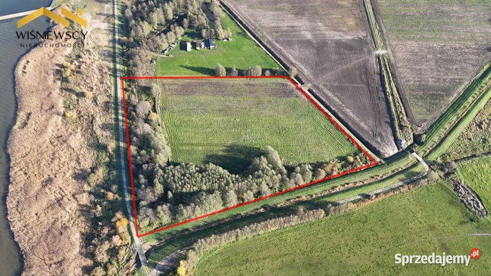 Działka Zalewem Wiślanym Kadyny 252ha