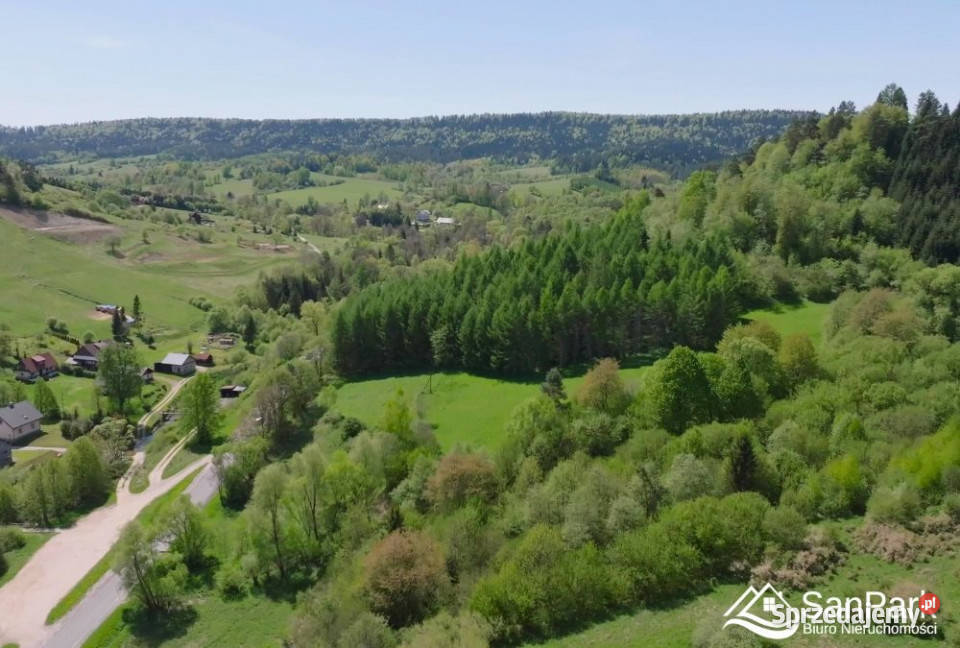 Działka 9277m2 Hoszów 9277m2 podkarpackie sprzedam