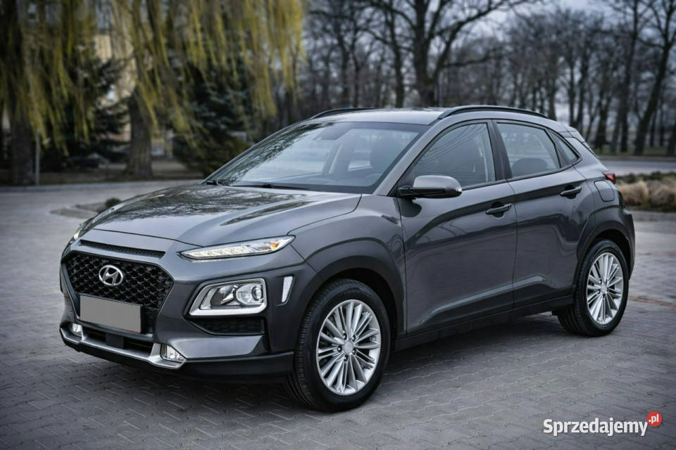 Hyundai Kona I 20172023 wielkopolskie