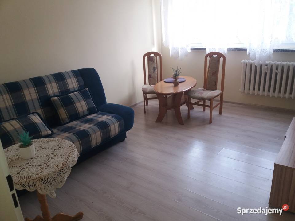 Gliwice mieszkanie do wynajęcia piwnica