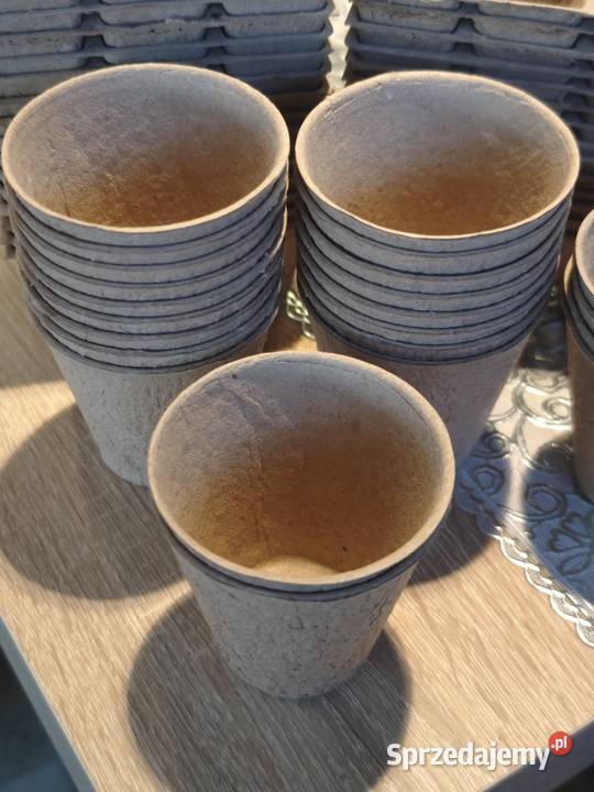 Doniczki doniczki do rozsad EKO Doniczki do rozsad Piotrków Trybunalski