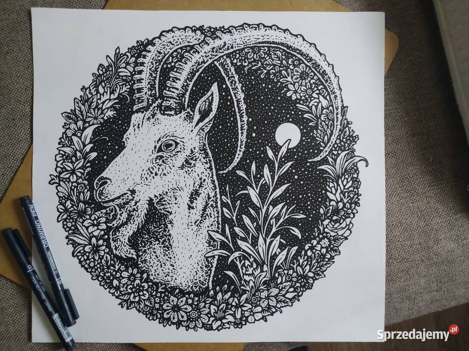 Rysunek koziorożec w ornamencie cienk 350x370mm Warszawa