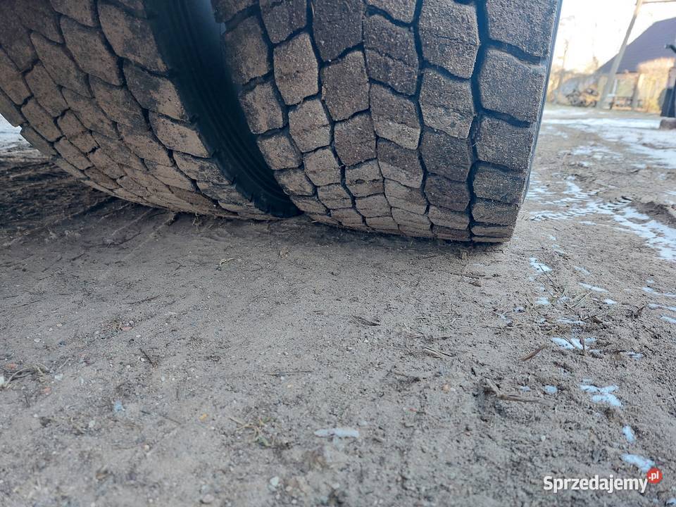 DAF XF 106 BDF JUMBO automatyczna Mieszkowice