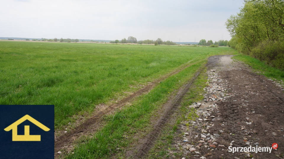 Nieruchomość w Całowaniu 0m mazowieckie sprzedam