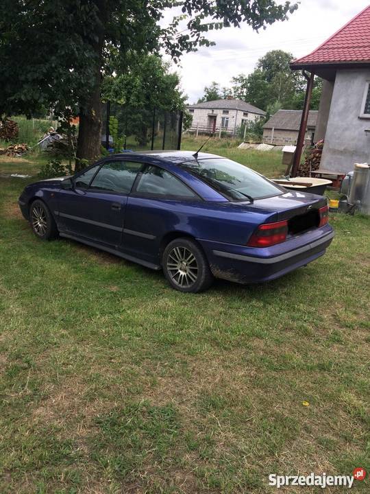 Calibra sprzedam Michów